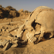 Illustration for article titled What Happened to the Mysterious Humans of the Sahara 7,000 Years Ago?